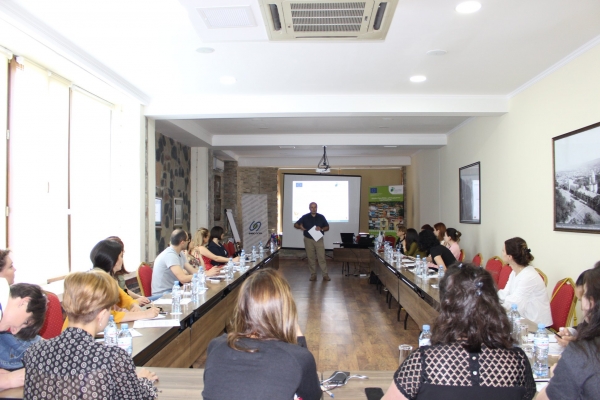 Грузия: тренинг по повышению осведомленности о Соглашении мэров и организация Дней энергии, Качрети, 4-5/06/2019