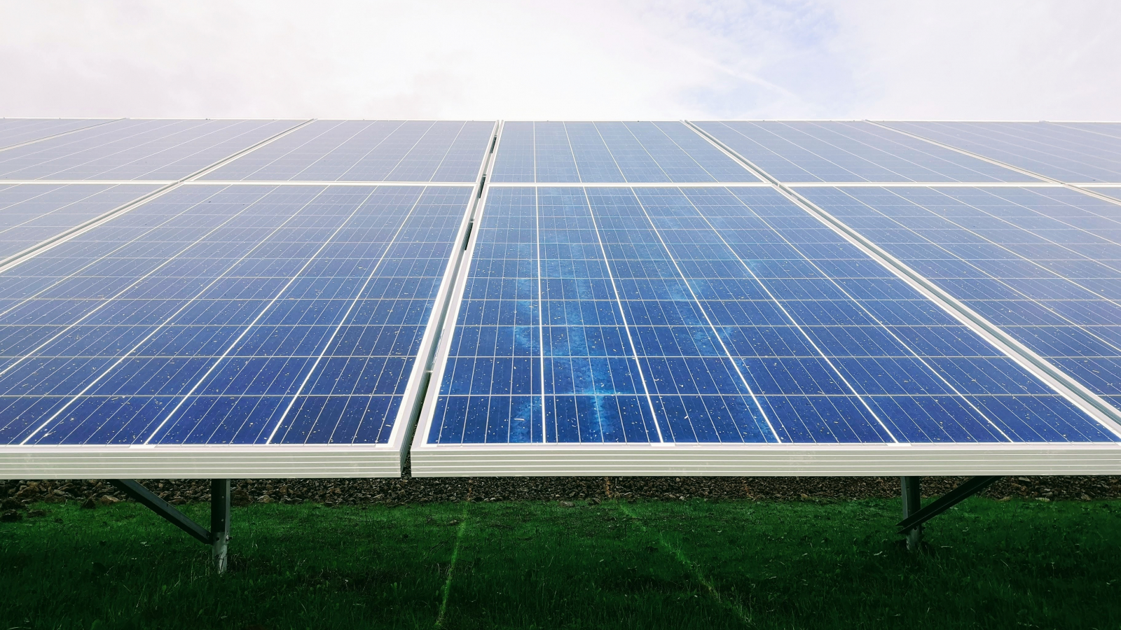 Ukraine: New solar farm built in Plyskiv village 