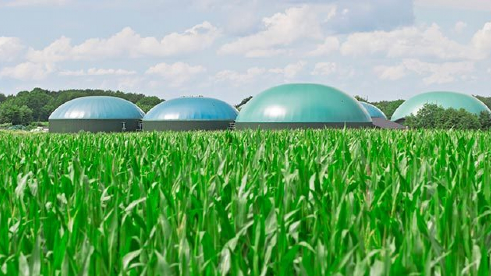 New biogas plant to be built in Ukraine