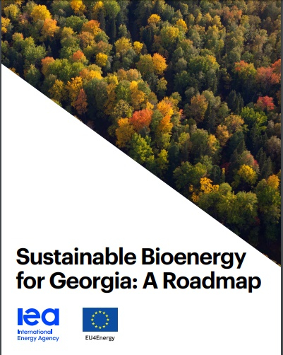 Sustainable Bioenergy for Georgia: A Roadmap 