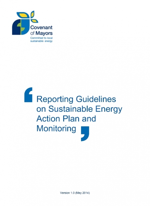Guidelines for reporting on SEAP implementation