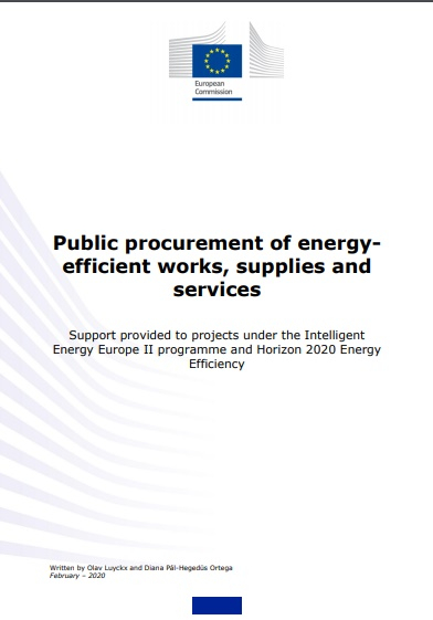 Public procurement of energy-efficient works, supplies and services