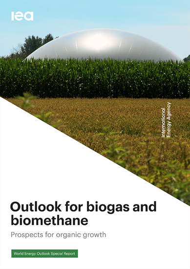 Outlook for biogas and biomethane