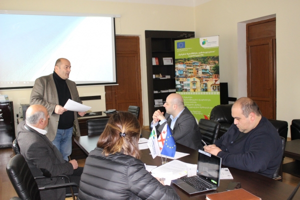 Georgia: Meeting of CoM East National expert with Telavi municipality