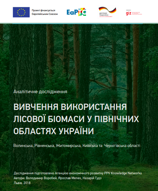 Study of forest-based biomass use in Northern region of Ukraine